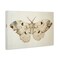 Stupell Industries Vintage Beige Moth Canvas Wall Art Design by Petal Prints Design